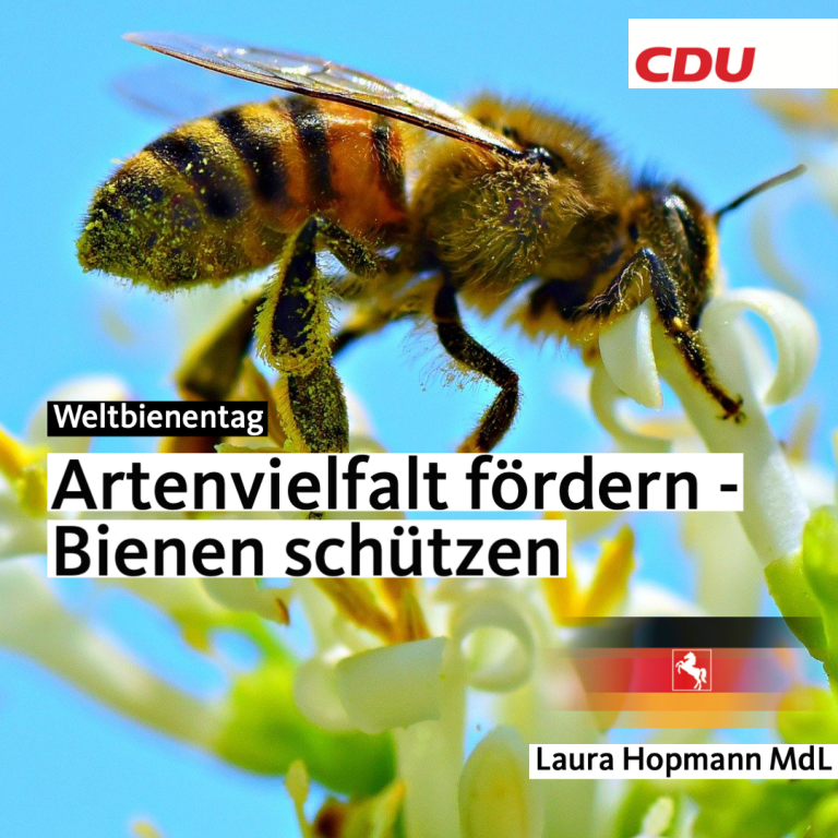 Weltbienentag